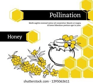 Pollination hand drawn vector illustration. Sea buckthorn, plant sketch. Honey shop packaging sticker. Honeycomb geometric shape. Texture ink clipart. Eco store poster, banner design with text
