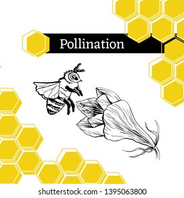 Pollination hand drawn vector illustration. Bumblebee and blooming flower ink pen sketch. Honey store packaging sticker. Honeycomb geometric shape. Stylized freehand Amarillis drawing