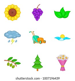 Pollination icons set. Cartoon set of 9 pollination vector icons for web isolated on white background