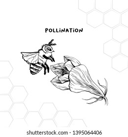 Pollination process hand drawn vector illustration. Honey product store logo, label. Bee and flower ink pen sketch. Geometric honeycomb clipart. Stylized Amaryllis drawing. Isolated design element