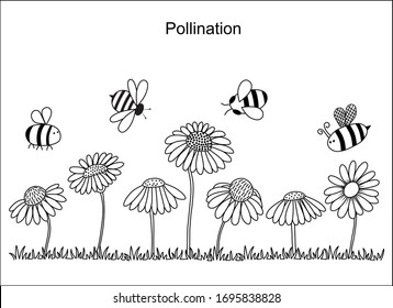 Pollination through bees. Vector diagram showing pollination through bees. 