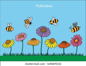 Pollination through bees. Vector diagram showing pollination through bees in color. 