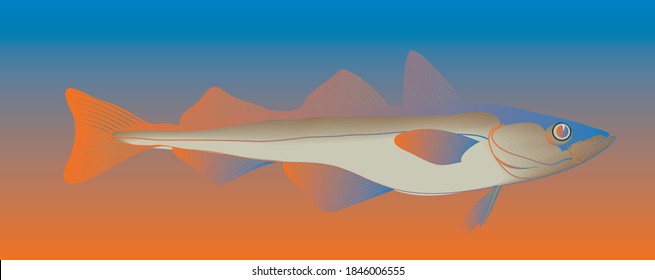 Pollock, label, stylistic image of fish