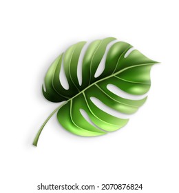 Polyester Tropical Palm Floral Tree Leaf Vector. Jungle Exotic Plant Herbal Freshness Leaf, Botany Decoration. Blossom Tropic Agricultural Garden Organic Eco Herb Template Realistic 3d Illustration