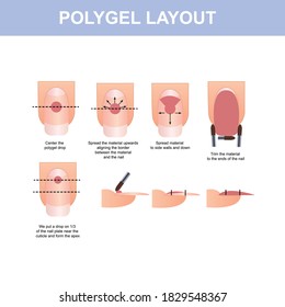 Polygel layout on the nail, step by step guide, vector illustration