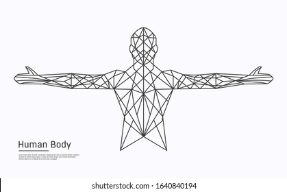 Polygon 3d Human Body Illustration Vector Template