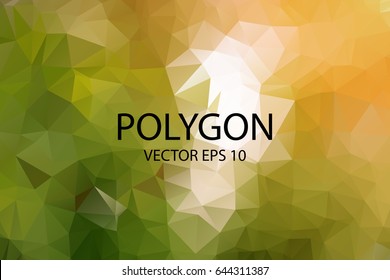 Polygon Abstract Backgrounds.Colorful vector banner.
