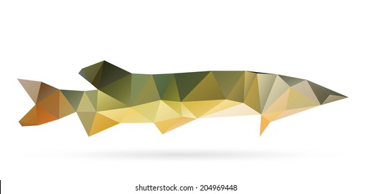 Polygon abstract illustration of pike