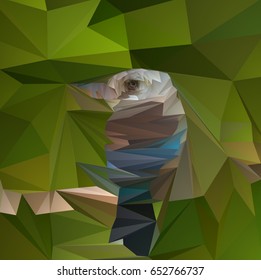 Polygon background abstraction animal