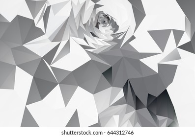 polygon black-and-white abstraction