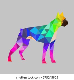 polygon boxer dog, colorful.