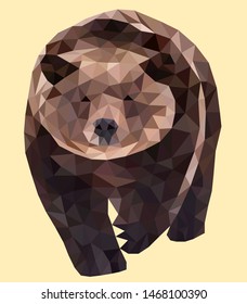 Polygon brown wild vector bear