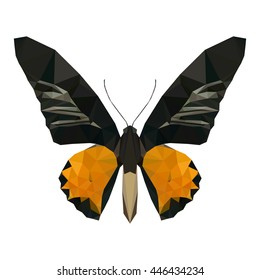 polygon butterfly, poly low animal, polygonal geometric triangle vector