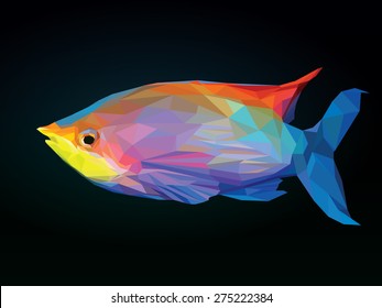 Polygon colorful fish