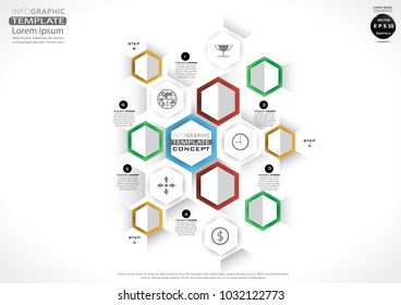 Polygon Colorful  Icon - presentation elements - modern  Concept Vector illustration Business Infographic template.
