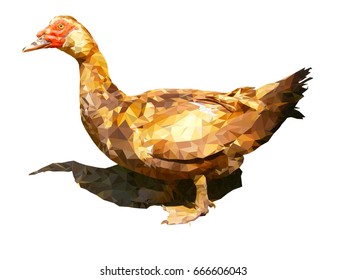 polygon drake low poly dack