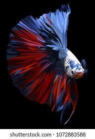 Polygon drawing of  betta or simese fighting fish illustation.