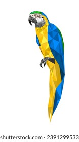 Polygon drawing macaw isolated white background