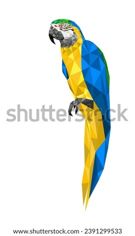 Polygon drawing macaw isolated white background