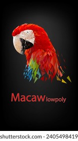 Polygon Graphics red macaw parrot on black background vector illustration