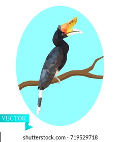 Polygon Hornbill (calao, bucerotidae). Sitting on a branch on a background of light blue oval. Vector image.