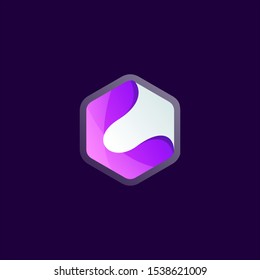 polygon logo design vector illustration