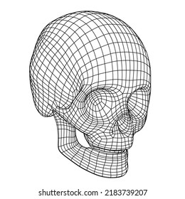 Polygon Mesh or Wireframe Skull Over White Background