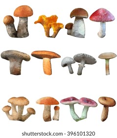 Polygon mushrooms on a white background. 12 pieces