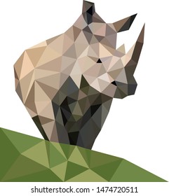 Polygon origams lines wild rhino