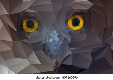 Polygon picture abstraction bird owl