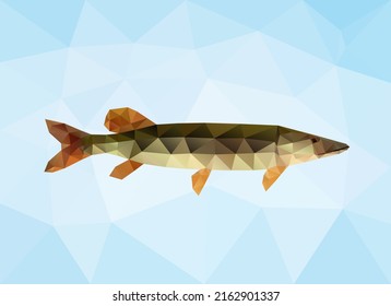 Polygon pike. Triangle vector fish