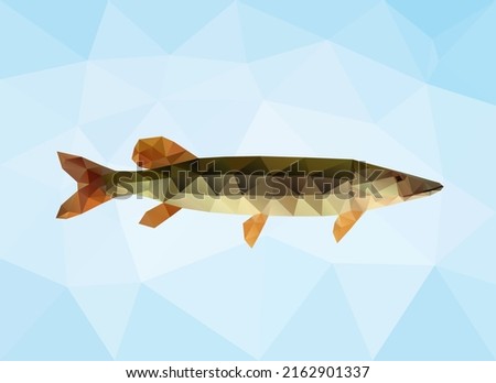 Polygon pike. Triangle vector fish