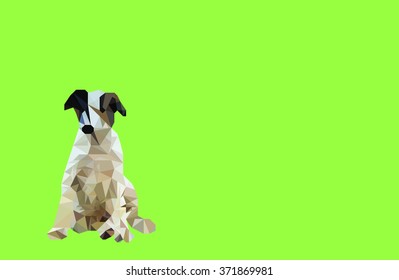 polygon puppy