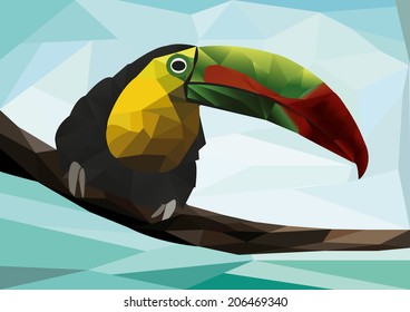 Polygon toucan on branch.
