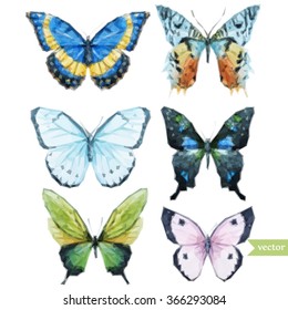 polygon vector illustration set of butterfly, vector graphics, moth