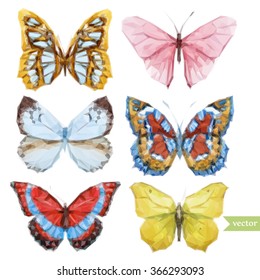 polygon vector illustration set of butterfly, vector graphics