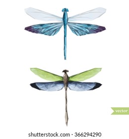 polygon vector illustration set of dragonfly, vector graphics,