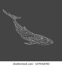polygon whale vector eps file whale 