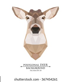 polygon young deer with horns on a white background