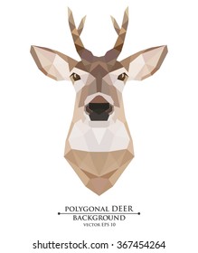 polygon young deer with horns on a white background