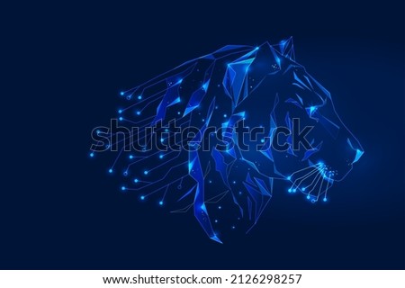 Polygonal 3d blue tiger in dark blue background. Symbol new year 2022. With network blockchain. Online cooperation services for tracking, communication, traffic, navigation, GPS. abstract vector.