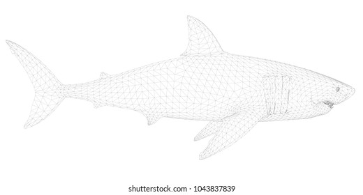 Polygonal 3D shark. Dangerous shark isolated on white background. The shark is covered with a polygonal mesh. Side view. Vector illustration.