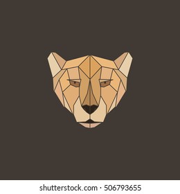  Polygonal abstract geometric triangle cheetah. low poly color head. 