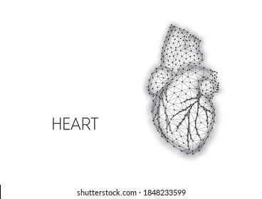 Polygonal anatomical human heart made of black lines and dots isolated on white background. Internal organs medical research concept. Modern wire frame design vector illustration.