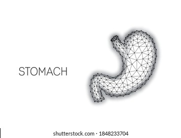 Polygonal anatomical human stomach made of black lines and dots isolated on white background. Internal organs medical research concept. Modern wire frame design vector illustration.