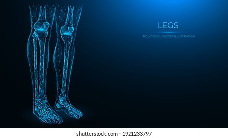 Polygonale anatomische Vektorgrafik menschlicher Beine. Femur, Patella, Tibia, Fibula und Fußknochen. Low-Poly-Modell der menschlichen Beine. Das Konzept einer medizinischen Vorlage.