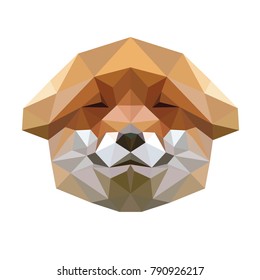 Polygonal animal fox head.