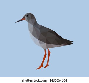 Polygonal art beauty wild grey bird
