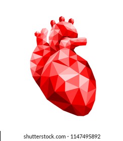 Polygonal Art Of Human Heart Design. Faceted Low-poly Geometry Effect. Abstract Anatomy Organ. Vector Illustration Isolated On White Background.