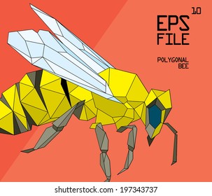 polygonal bee illustration